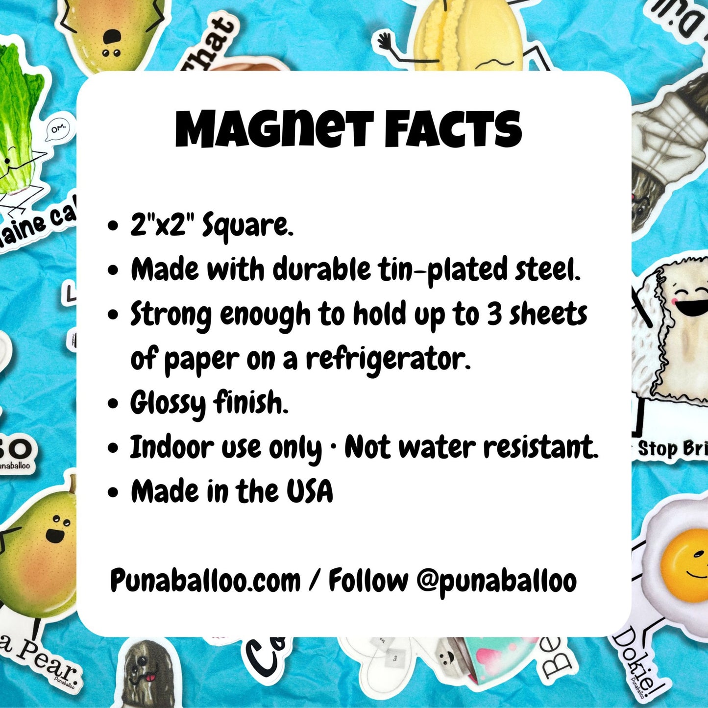 Magnet facts card with size, material, strength, finish, care, and manufacturing details