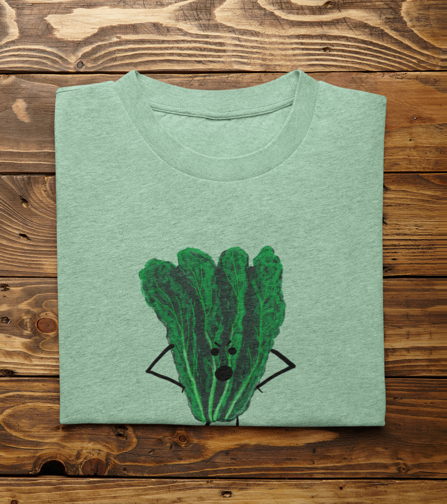A folded light heather mint t-shirt with Oh Kale No pun printed on the front, displayed flat on a rustic wooden plank background.